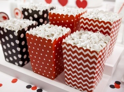 Krabičky na popcorn Ladybug